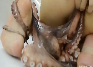 Amateur chick is stuffing her delicious pussy with slimy squid