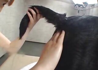 Japanese girl treats black dog with rimjob while jerking off his prick