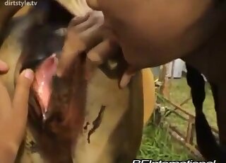 Young brunette needs to treat cow pussy with gentle licking