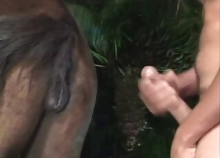 Wet horse pussy gets penetrated by endowed young hunk