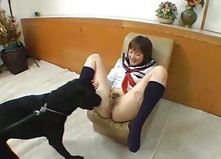Japanese schoolgirl has zoo sex fun with white Labrador