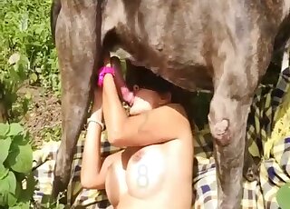 Attractive brunette with rockin' boobs jacking off a dog outdoors