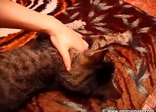 Skinny diva is ready to finger her cat's pussy and it's rather taboo