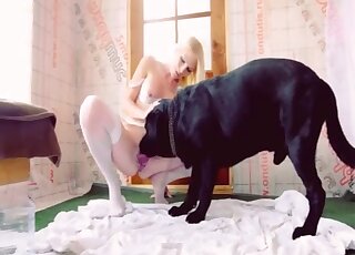 Lovely blonde lady in white stockings invites this dog to fuck her
