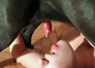 Close-up look at high-class oral zoo porn session with a dog