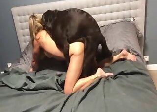 Blonde lady with long legs enjoying doggystyle sex with a black dog