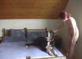 Skinny beauty enjoying hardcore love in a scene with a sexy dog