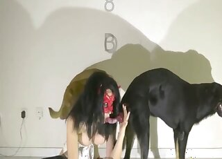 Brunette fucks with pair of dogs for merciless zoophilia orgasms