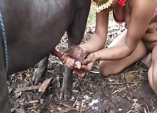 Busty brunette Latina throats and fucks pig's cock in outdoor scenes
