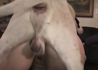 White dog fucks pure American wife in the pussy and comes on her ass
