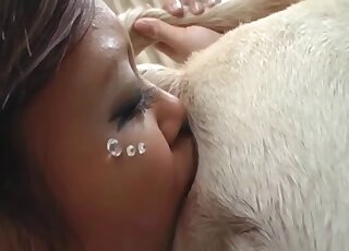 Sloppy Japanese zoophilia shows horny slut ass licking the dogs