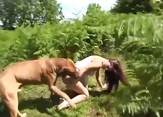 Redhead reaches orgasm from trying outdoor zoo sex with her dog