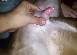 Needy amateur sure craves putting her mouth on the dog's dick