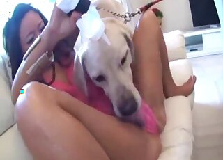 Filipina slut cam fucked by a dog and soaked in animal sperm