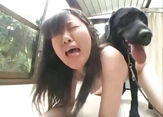 Young amateur Japanese moans with the dog fucking her quite hard