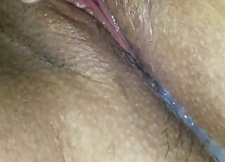 Fat slut dog fucked in the ass and soaked in fresh dog sperm