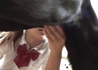 Japanese schoolgirl tries oral porn with the dog while on cam