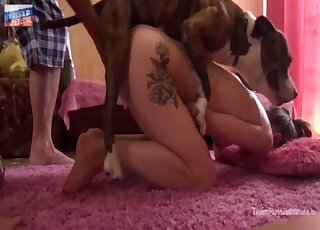 Dog ass fucks blonde woman while she plays obedient on cam