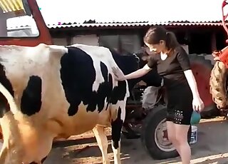 Bitch feels aroused by the cow's presence and she wants to get intimate