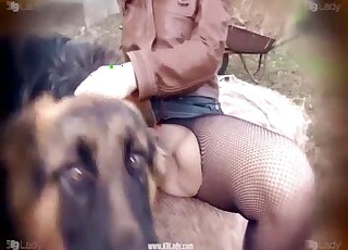 Big ass blonde mature fucked by a pack of dogs out into the woods