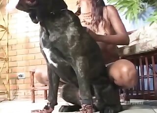 Ebony slut is ready for some heavy dog porn on cam