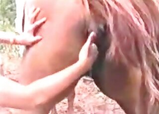 Naked bitch enjoys stuffing her fingers inside horse's wet pussy