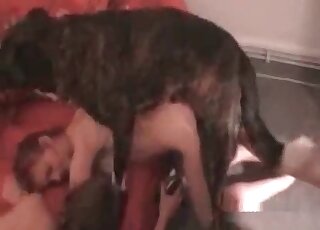Bitch stands on all fourse and gets ready for XXX fucking with dog