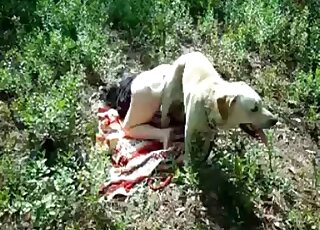 Outdoors XXX session with a doggie that fucks horny bitch from behind
