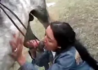 Brunette gladly performs blowjob to a horse outdoors