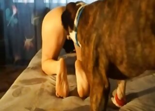 Hard doggystyle with the dog leads amateur wife to extreme orgasm