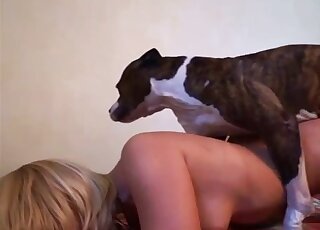 Harsh sex with a dog makes busty blonde wife crave sperm on ass