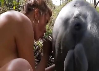 Aroused blonde plays with the pig's cock  in very intimate manners
