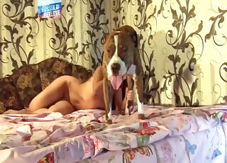 Loud zoo treat for a thirsty amateur woman in sexy home perversions