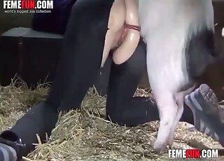 Pig penetrates mature's hairy cunt and comes on her sexy ass