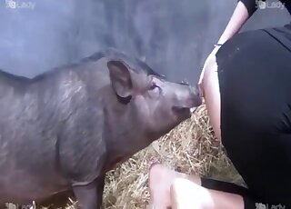 First time when this fine mature wife tries sex with such a big swine