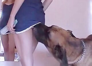 Dog gladly licks juicy butt of a blond zoophile bitch during zoo porn