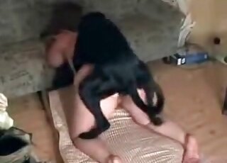 Chubby chick and black dog enjoy having wild zoo porn at home