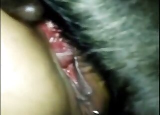 Dog's neat cock is fucking a tight vagina from behind in the dark
