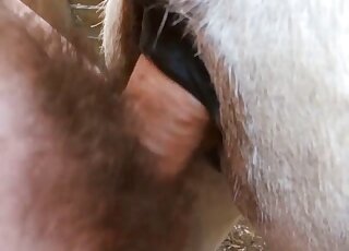 Dude inserting his uncut cock into a beast's eager pussy right here