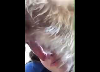 Dirty-talking blonde gives this dog a nice close-up blowjob here