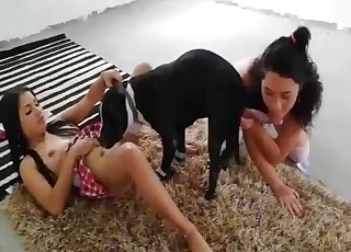 Two Hispanic babes take turns masturbating and fucking the beast