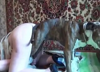 Awesome dog fuck scene with an animal that ruins horny vaginas