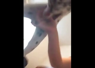 Amateur dog blowjob scene showing a very passionate zoophile
