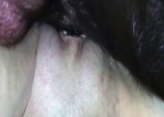 Shaved pussy is getting blasted brutally by a dog with black fur