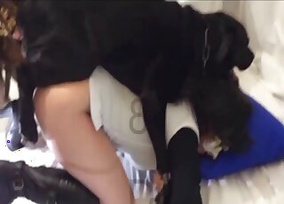 Black dog uses its red penis to fuck a lady and we see taboo licking