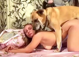 Lady with sexy feet gets fucked by a dog on all fours on the bed