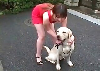 AV babe gets involved in a zoo porn together with some doggies