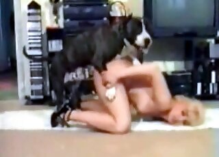Aroused black dog gladly bangs nasty bitch from behind