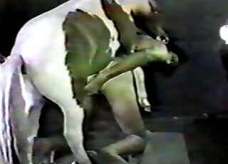 Filthy zoophile bitch doesn't mind being fucked hard by a horse