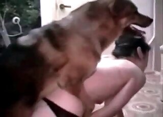 Aroused to the max doggie fucks hard the wet twat of a zoophile slut
